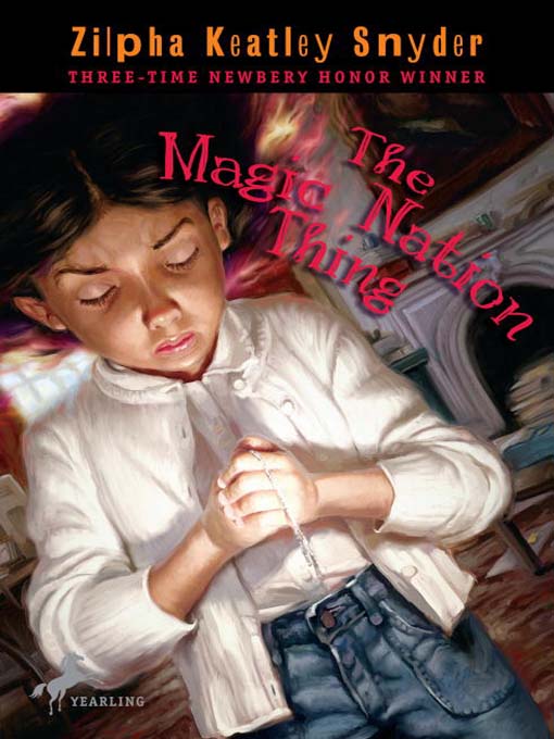 Cover image for The Magic Nation Thing